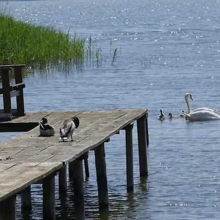 Hausboot In Am Bodden Botel